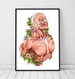 Art d'anatomie du corps masculin - Blanc