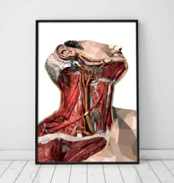 Art d'anatomie du cou géométrique