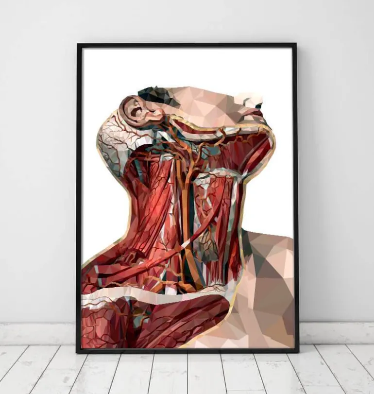 Art d'anatomie du cou géométrique