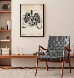 Art d'anatomie du cœur et des poumons V