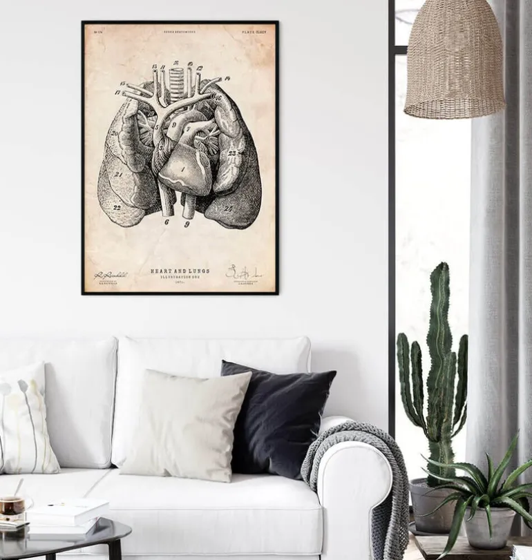 Art d'anatomie du cœur et des poumons I