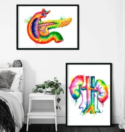 Art d'anatomie du pancréas - Aquarelle