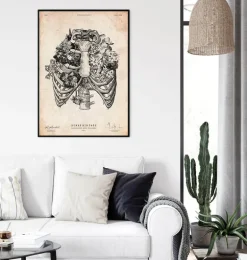 Art de la cage thoracique