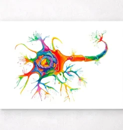 Art de la structure des neurones - Aquarelle
