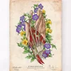 Art de l'anatomie de la main