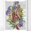 Art de l'anatomie de la main - Page du dictionnaire