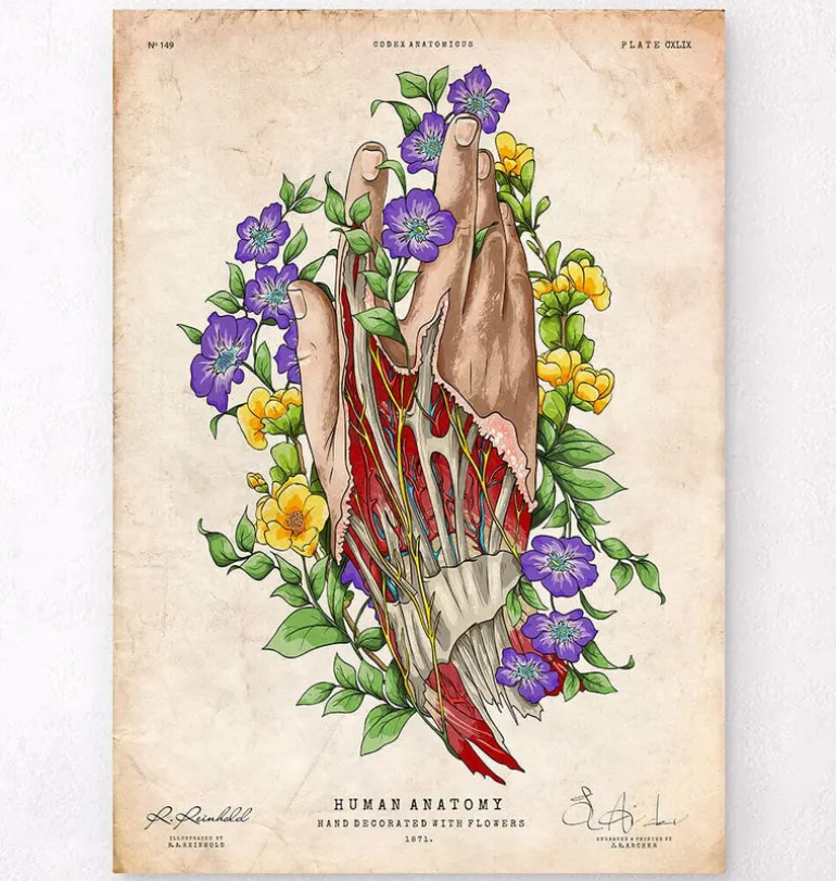 Art de l'anatomie de la main