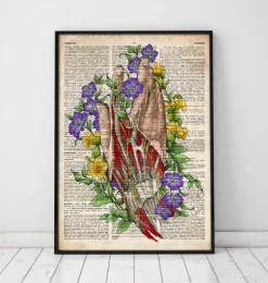 Art de l'anatomie de la main - Anciene dictionnaire