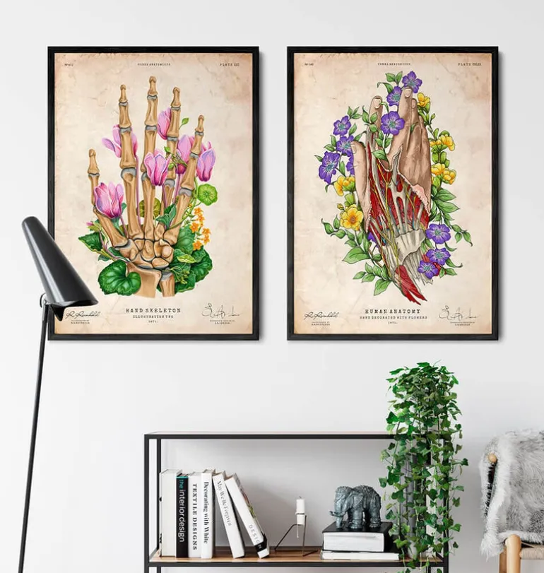 Art de l'anatomie de la main