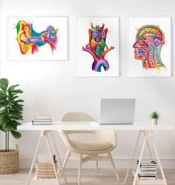 Art de l'anatomie de l'oreille - Aquarelle