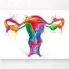 Art de l'anatomie de l'utérus - Aquarelle