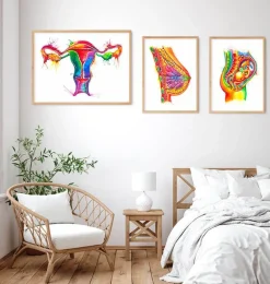 Art de l'anatomie de l'utérus - Aquarelle