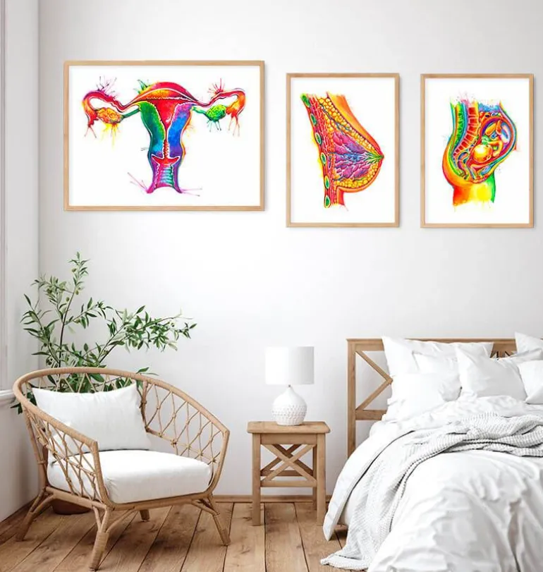 Art de l'anatomie de l'utérus - Aquarelle