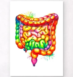 Art de l'anatomie des intestins - Aquarelle