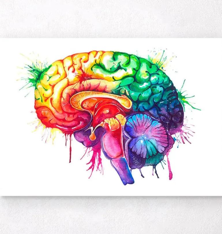 Art de l'anatomie du cerveau - Aquarelle