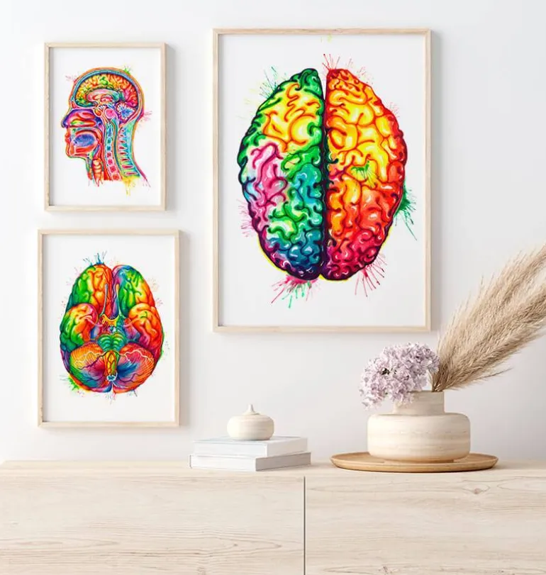 Art de l'anatomie du cerveau II - Aquarelle