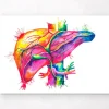 Art de l'anatomie du foie - Aquarelle