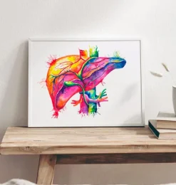 Art de l'anatomie du foie - Aquarelle