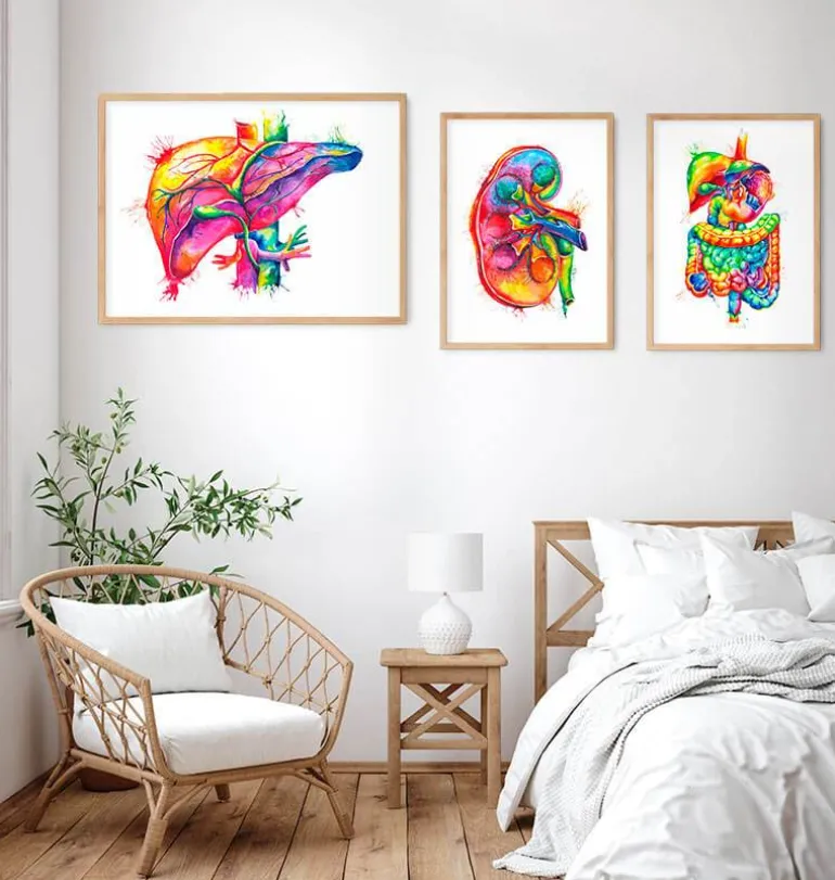Art de l'anatomie du foie - Aquarelle
