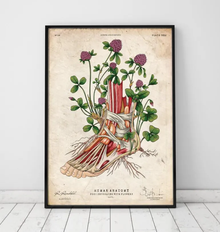 Art de l'anatomie du pied - Floral