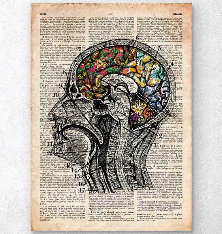 Art du cerveau floral - Ancien dictionnaire