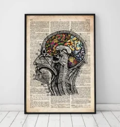 Art du cerveau floral - Ancien dictionnaire