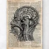 Art du cerveau I - Ancien dictionnaire