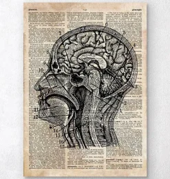 Art du cerveau I - Ancien dictionnaire
