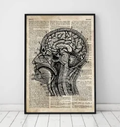 Art du cerveau I - Ancien dictionnaire