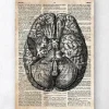 Art du cerveau II - Ancien dictionnaire