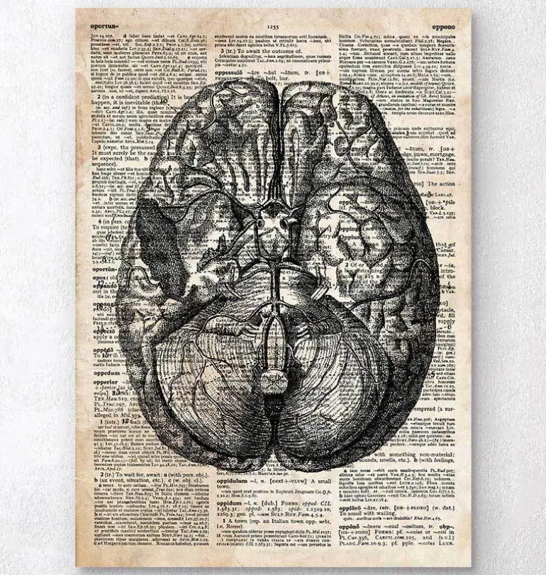 Art du cerveau II - Ancien dictionnaire