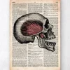 Art du crâne - Page du dictionnaire