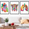 Bestsellers - Aquarelle - Lot de 3
