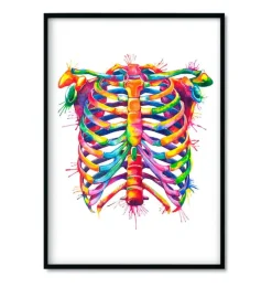 Bestsellers - Aquarelle - Lot de 3