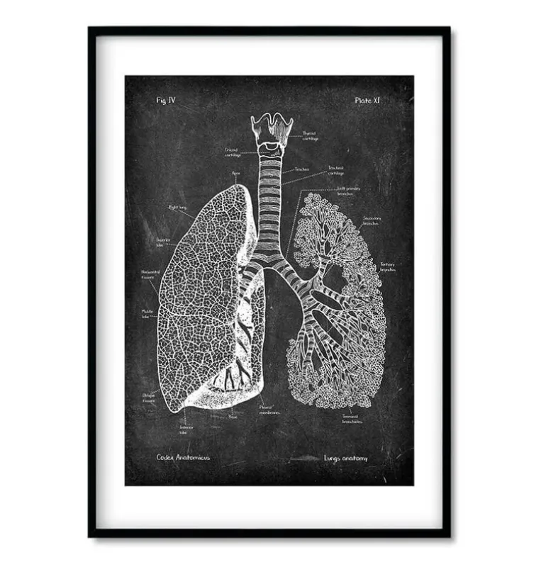 Bestsellers - Chalkboard - Lot de 3