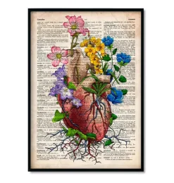 Bestsellers - Dictionnaire - Lot de 3