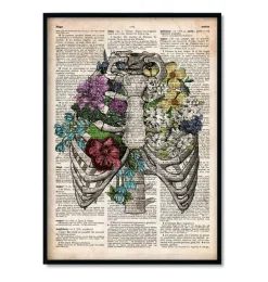 Bestsellers - Dictionnaire - Lot de 3