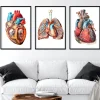 Bestsellers - Géométrique - Lot de 3