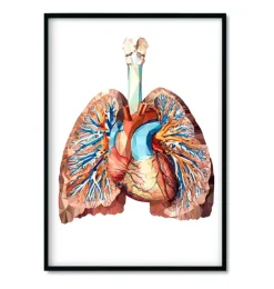 Bestsellers - Géométrique - Lot de 3