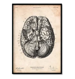 Bestsellers - Vintage - Lot de 3