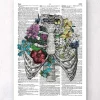 Cage thoracique - Page du dictionnaire