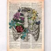 Cage thoracique - Page du dictionnaire