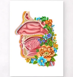 Cavité nasale - Floral - Blanc