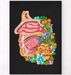 Cavité nasale - Floral - Noir