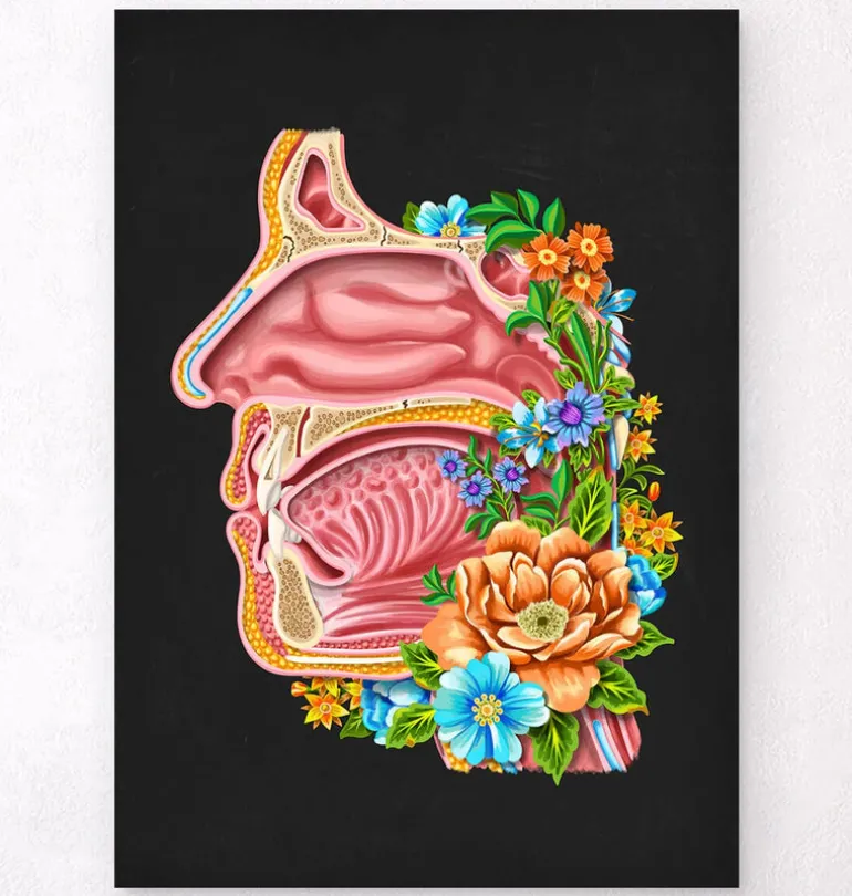 Cavité nasale - Floral - Noir