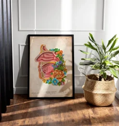 Cavité nasale - Floral - Vintage