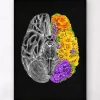 Cerveau anatomique avec fleurs