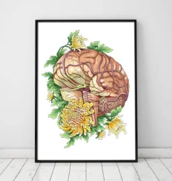 Cerveau avec des fleurs