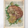 Cerveau avec des fleurs - Anciene dictionnaire