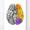 Cerveau avec des fleurs - Blanc